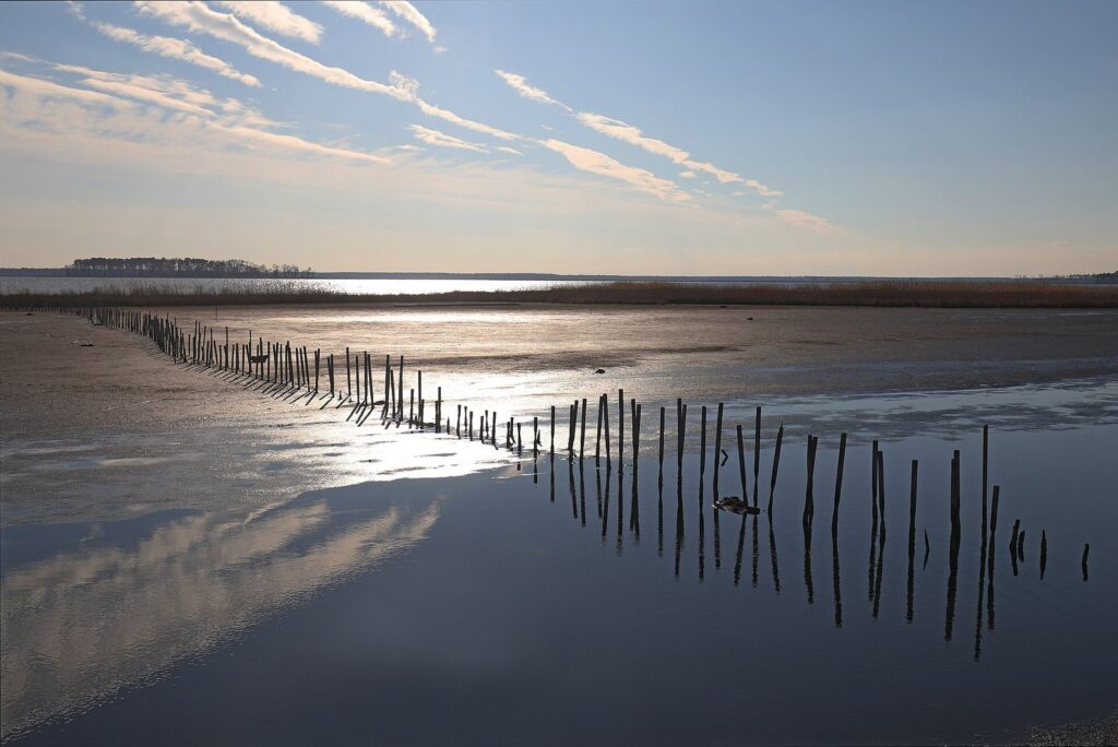 Still marsh water reflecting a pale sky, with a line of old wooden posts leading into the distance