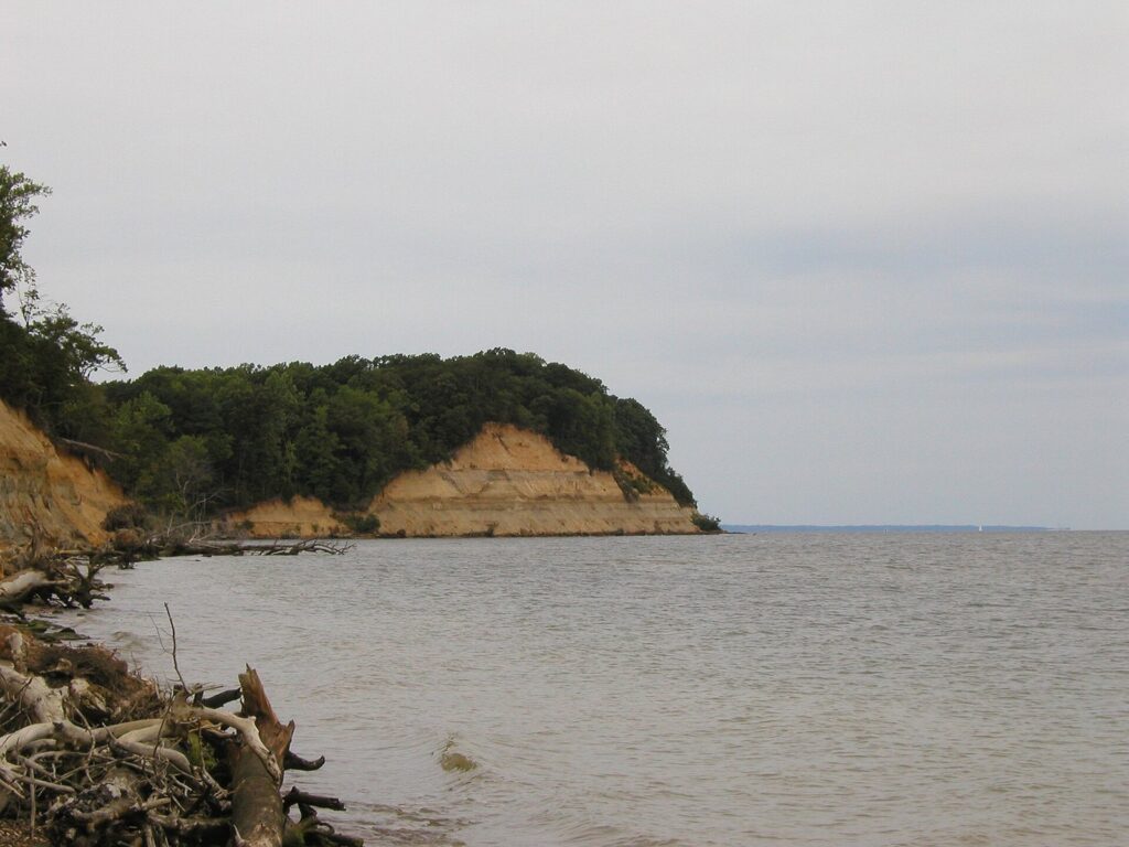 Tall sandy cliffs topped with trees above the gray water of the Chesapeake Bay