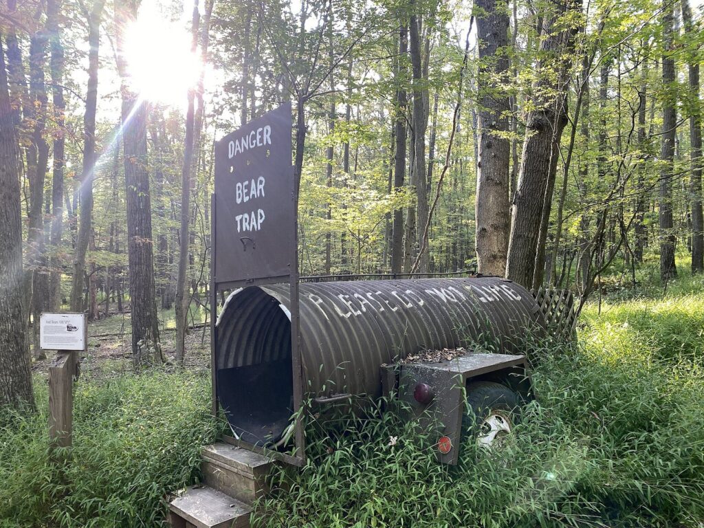 A culvert-style bear trap with a Danger Bear Trap sign on display in a sunlit forest clearing