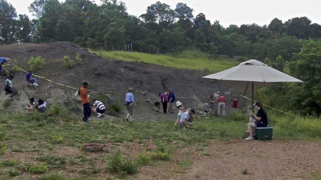Visitors spread across a bare clay slope searching for fossils at Dinosaur Park in Laurel, with a shade umbrella in the foreground
