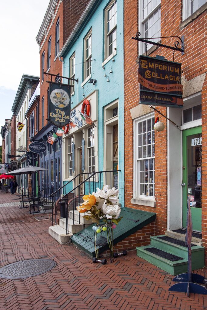 Colorful brick storefronts with hanging signs and flowers along a brick sidewalk