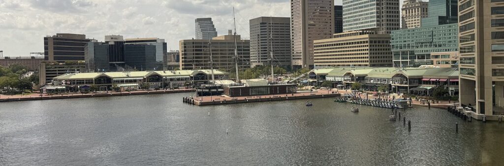 The low green-roofed Harborplace pavilions along the water, with downtown office towers behind