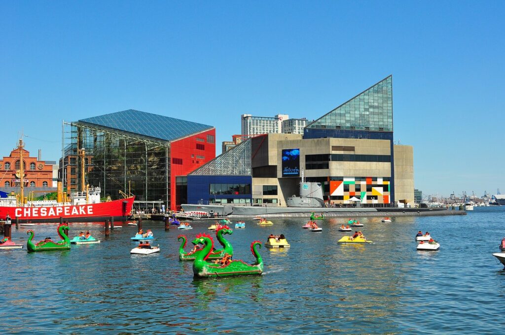 Green dragon paddle boats on the harbor in front of the Aquarium's glass pyramids and a red lightship