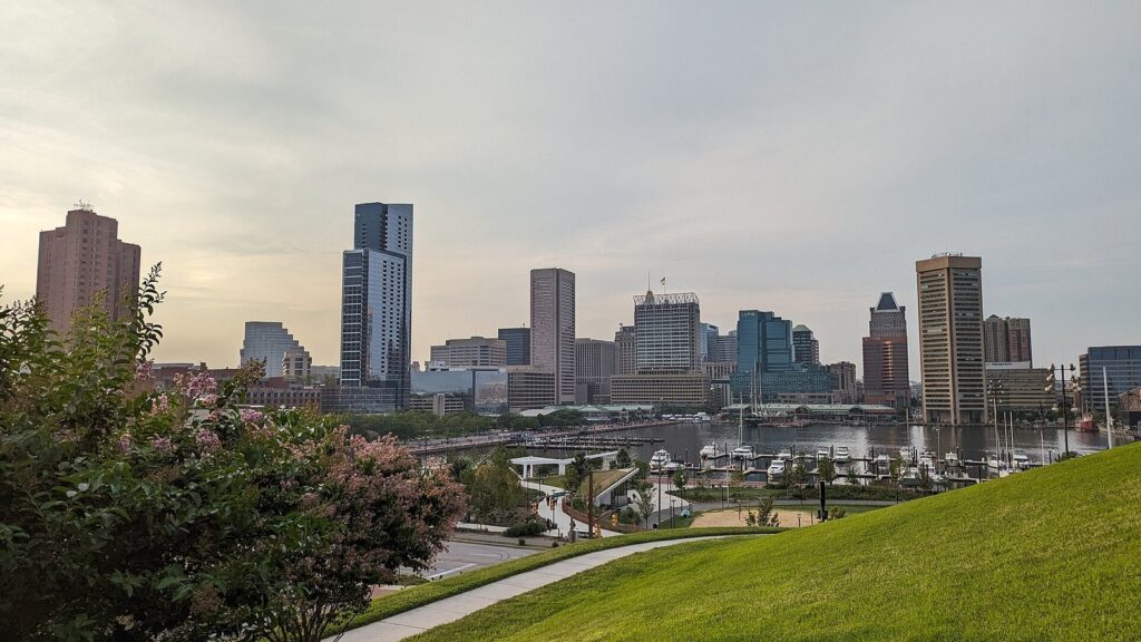 The downtown skyline and the harbor seen from a grassy slope with flowering shrubs