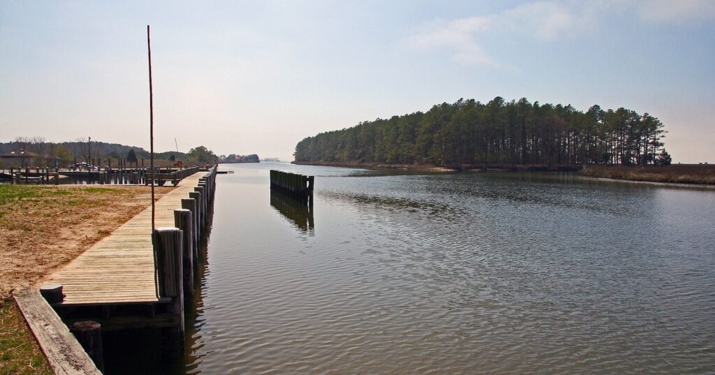 A wooden dock along a calm canal with a pine-covered marsh island on the far side under a pale sky