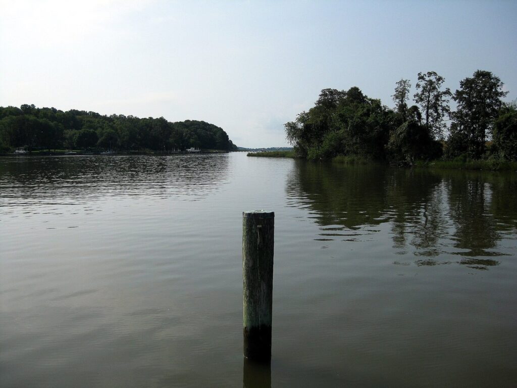 Calm creek water with an old wooden piling and a wooded point on the far shore under a pale sky