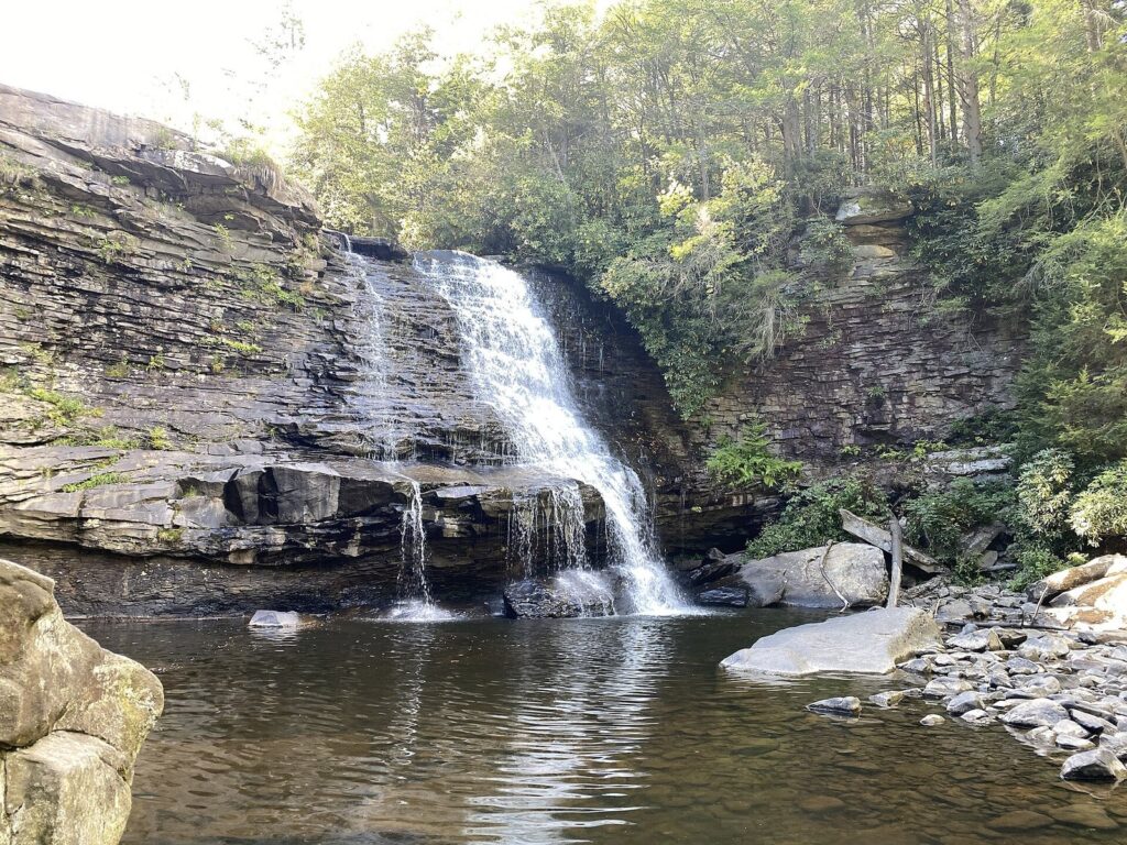 Muddy Creek Falls pouring over a wide rock ledge into a pool in a hemlock forest