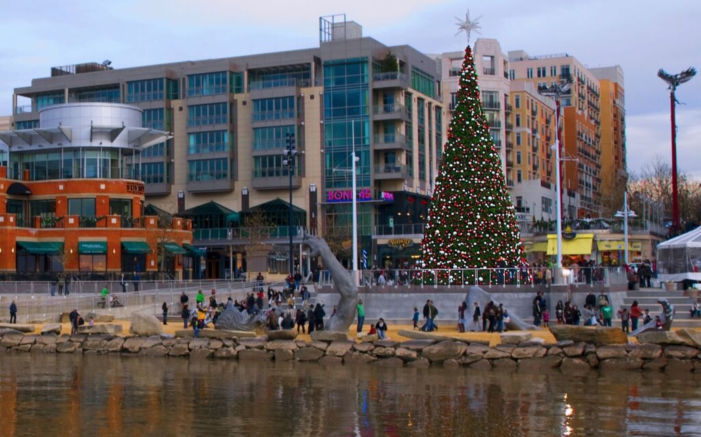 Tall decorated Christmas tree on a waterfront plaza with crowds, a stepped stone edge and apartment buildings behind