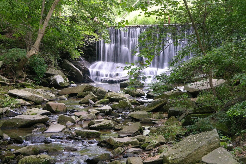 A small waterfall spilling over a rock ledge into a boulder-strewn stream in green summer woods