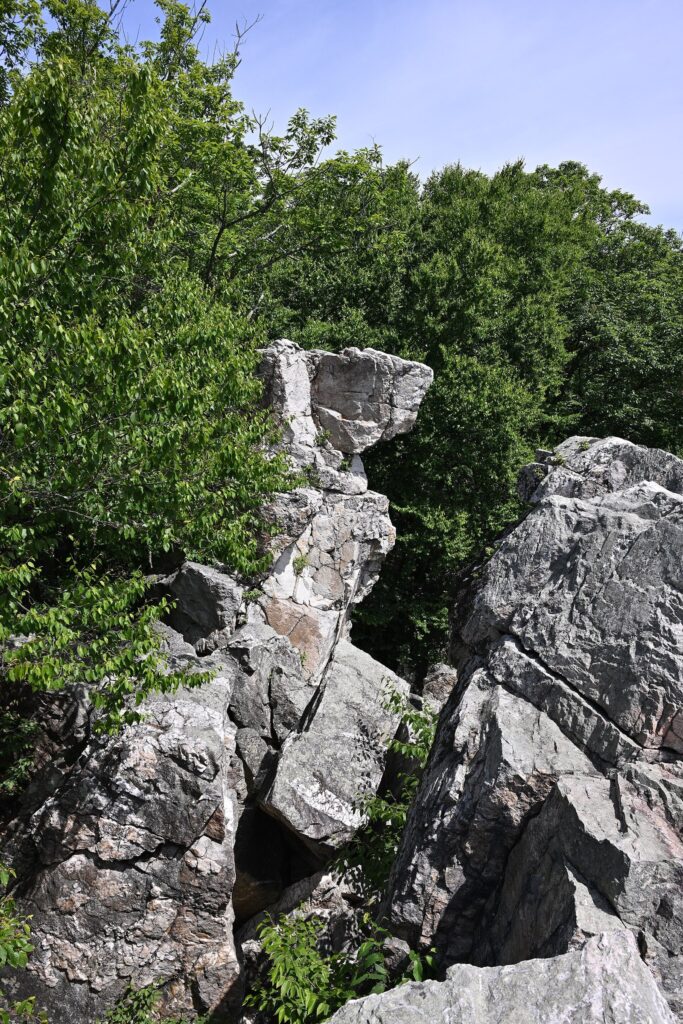 Jagged gray rock outcrops rising among green summer trees